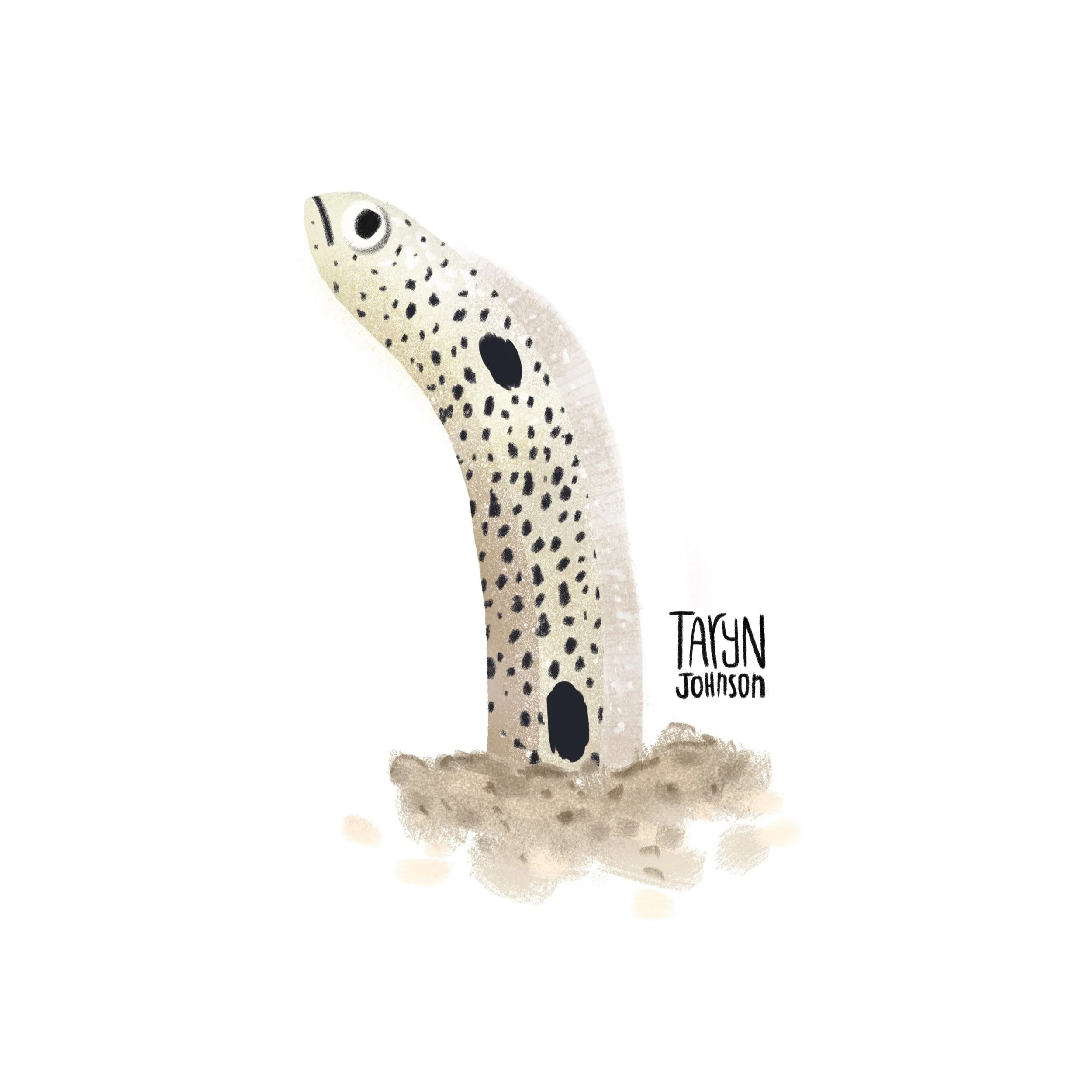 Fish079_tarynjohnson.jpg