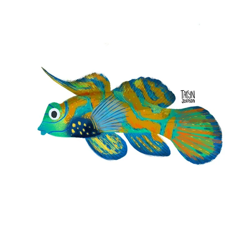 Fish044_tarynjohnson.jpg