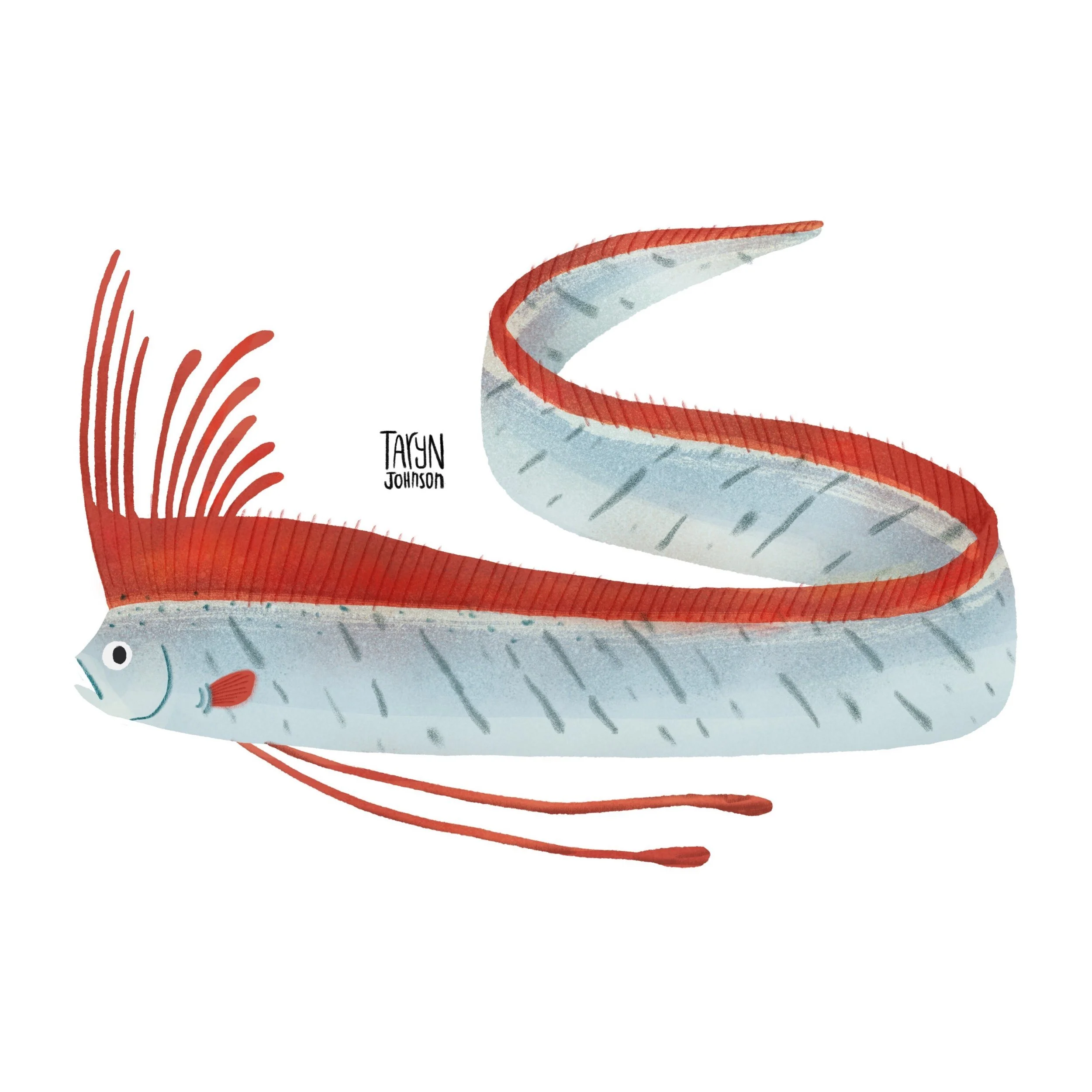 Fish100_tarynjohnson.jpg