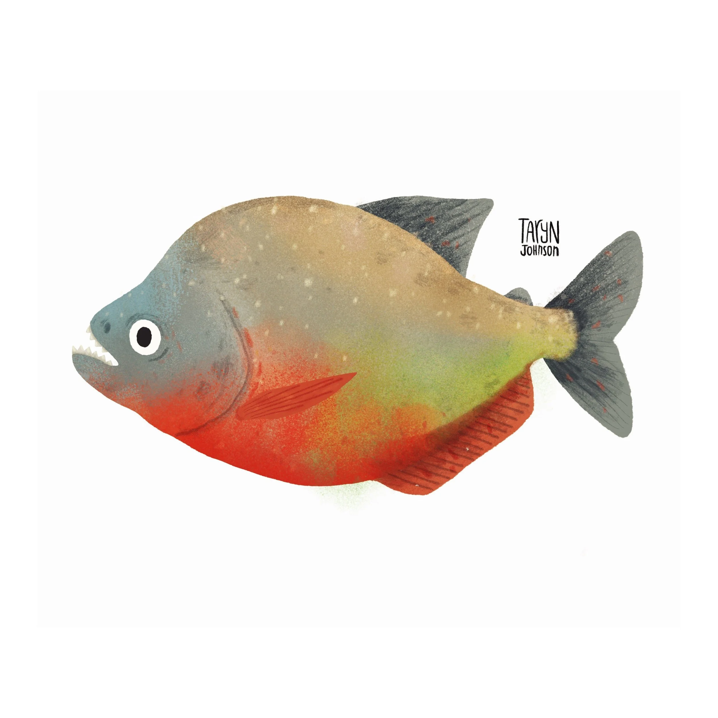 Fish074_tarynjohnson.jpg
