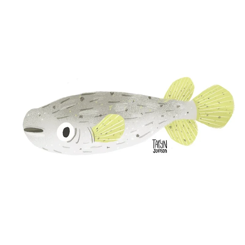 Fish046a_tarynjohnson.jpg