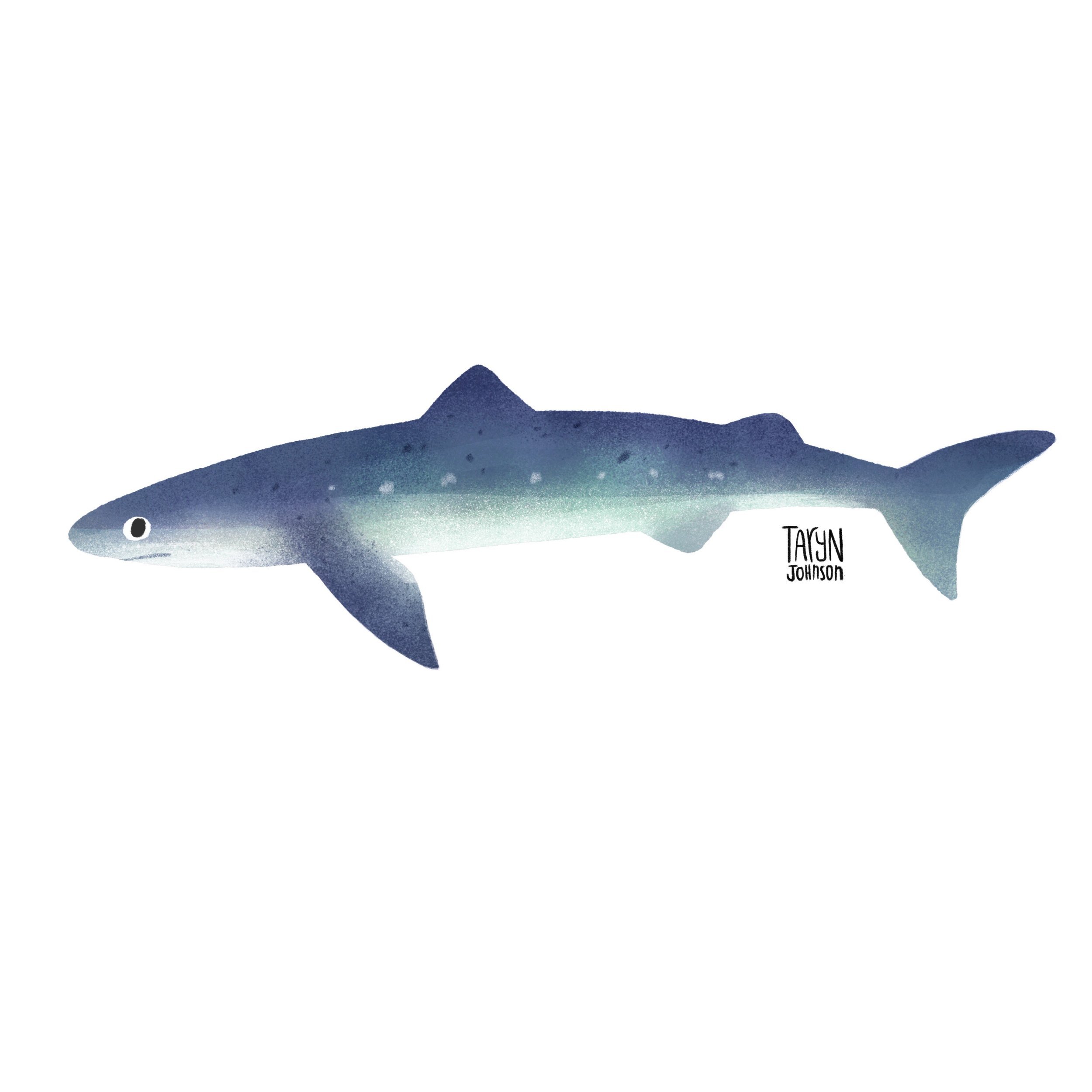 Fish067_tarynjohnson.jpg