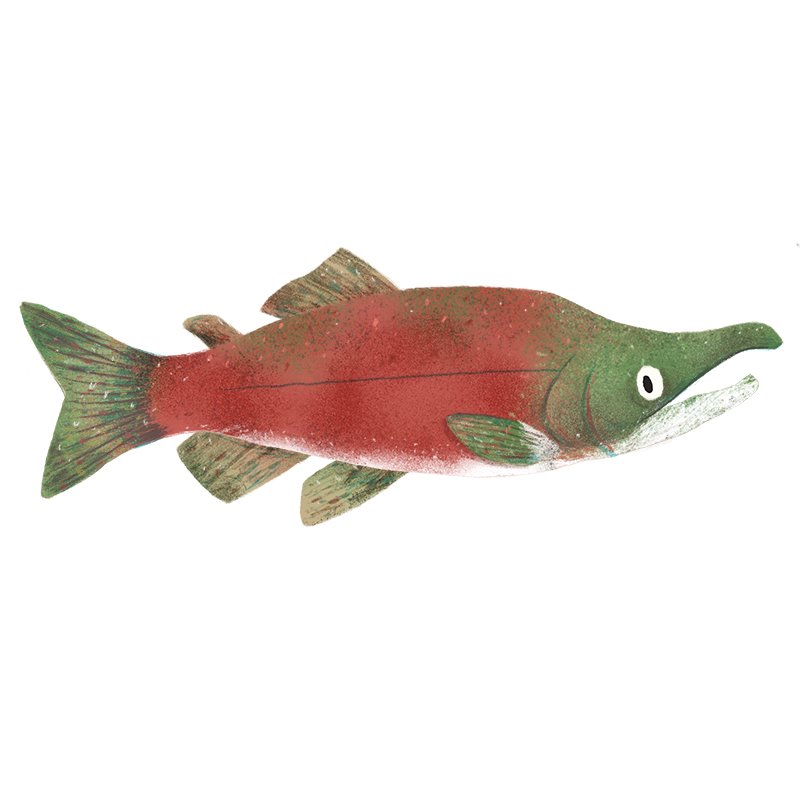 Fish028_tarynjohnson.jpg