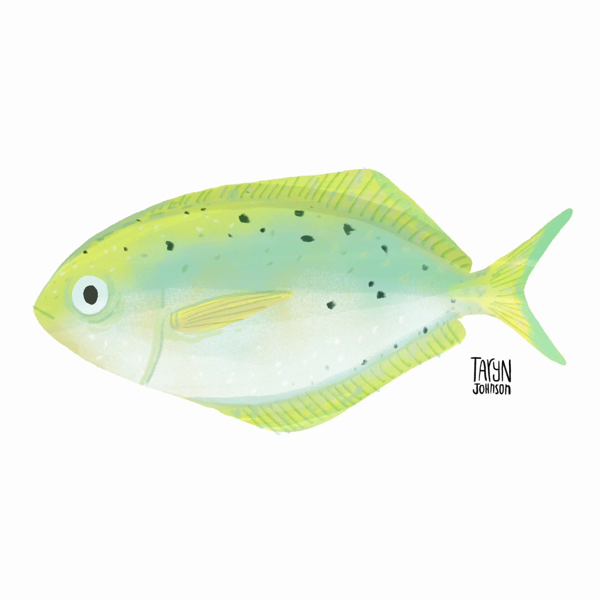 Fish086_tarynjohnson.jpg