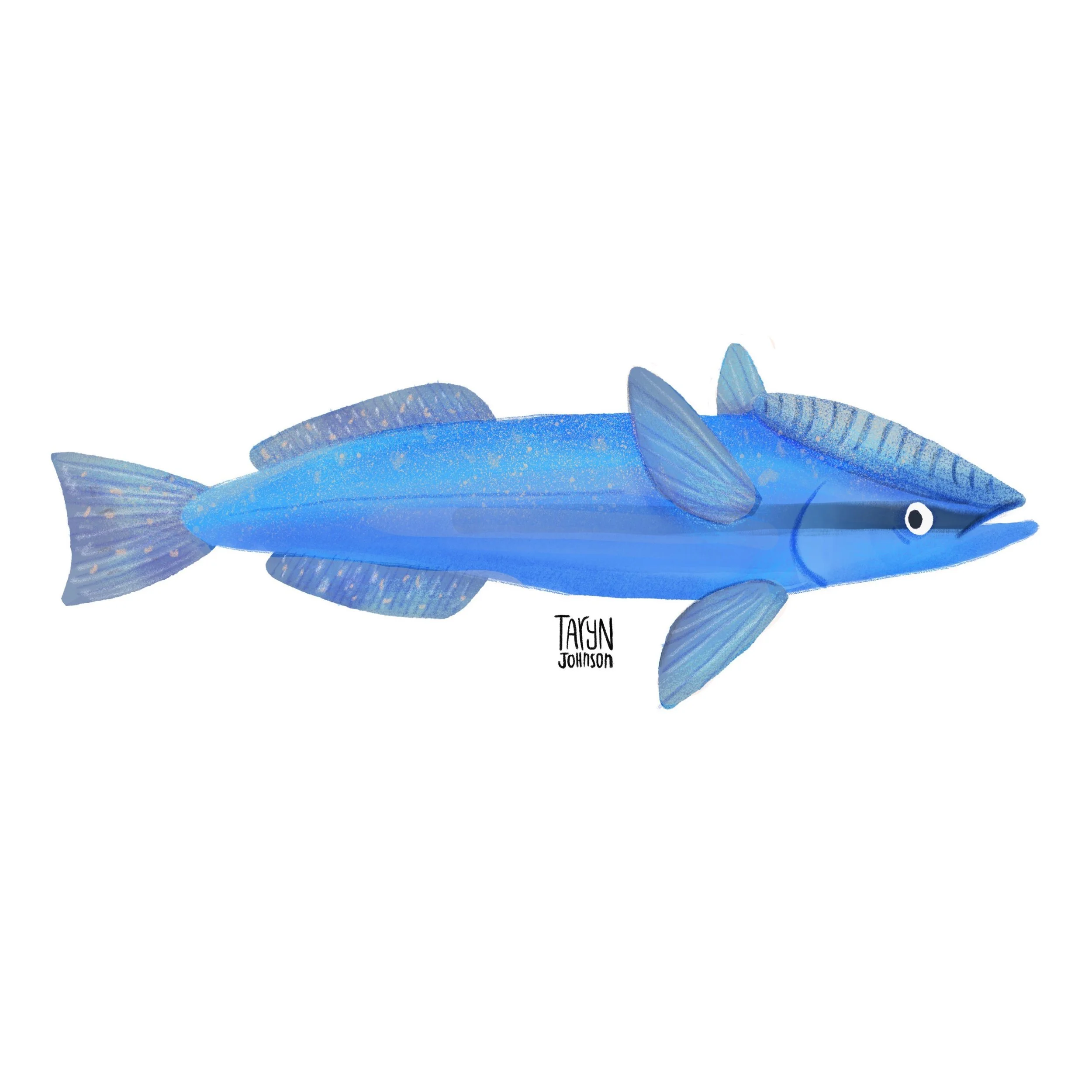 Fish084_tarynjohnson.jpg