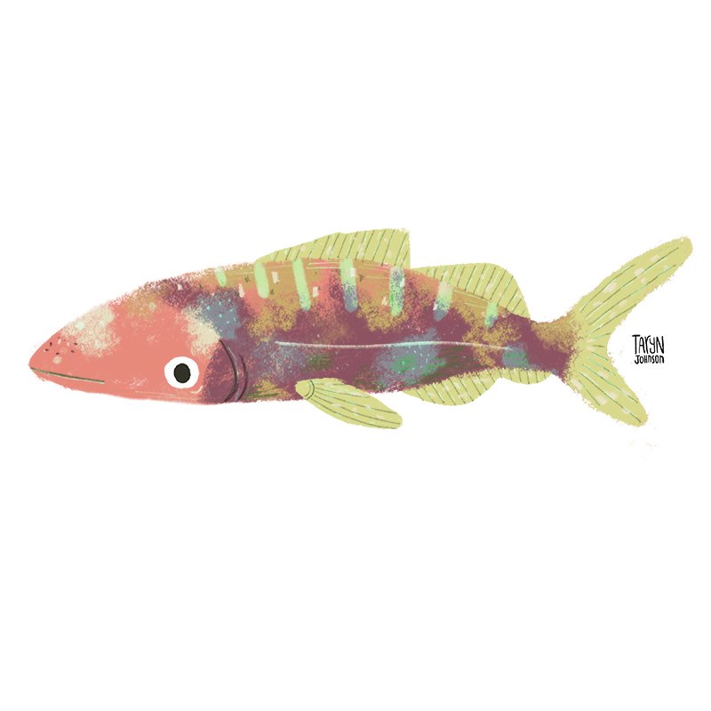 Fish015_tarynjohnson.jpg
