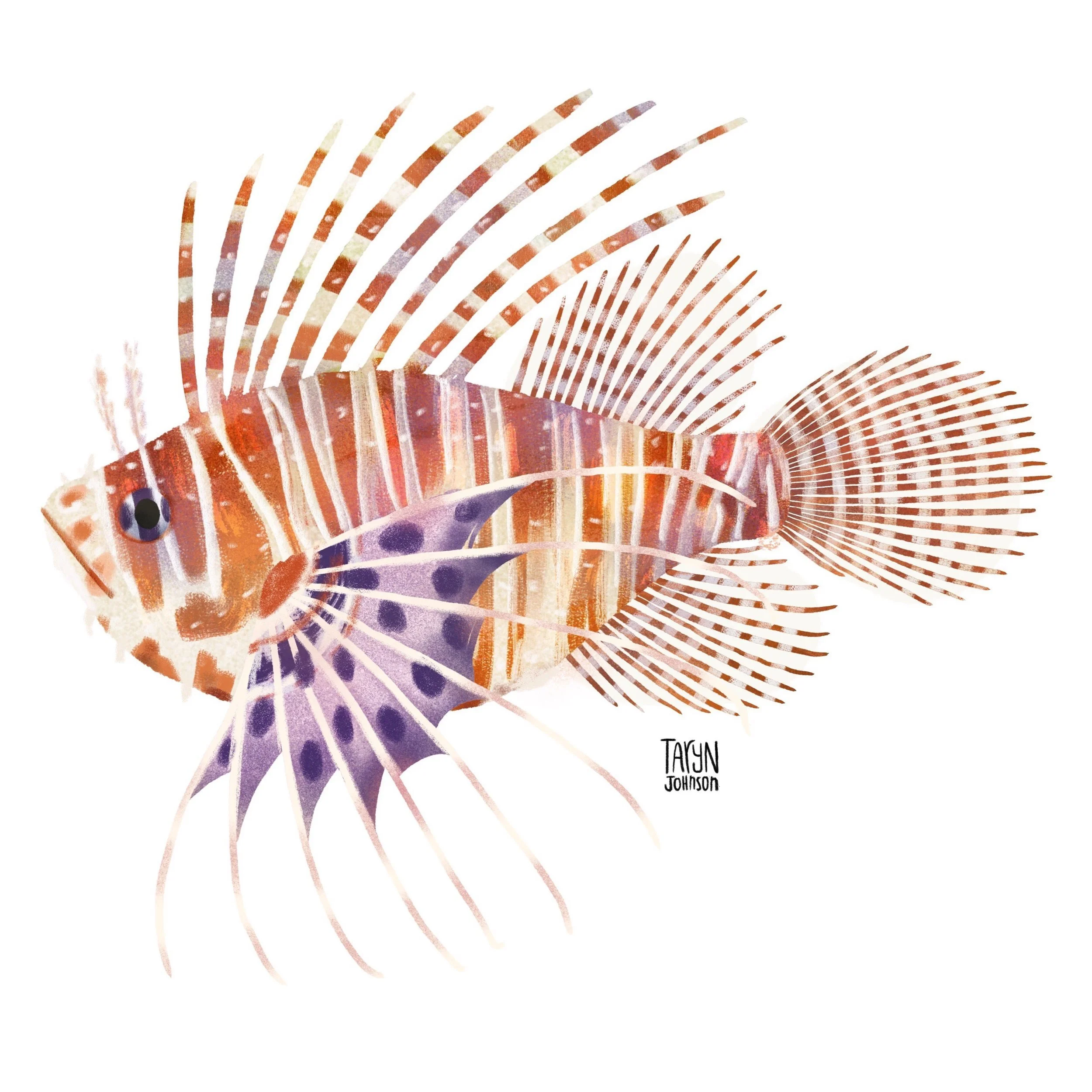 Fish099_tarynjohnson.jpg