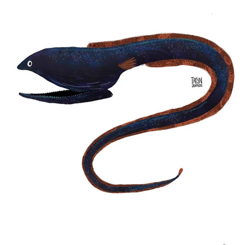 Fish031_tarynjohnson.jpg