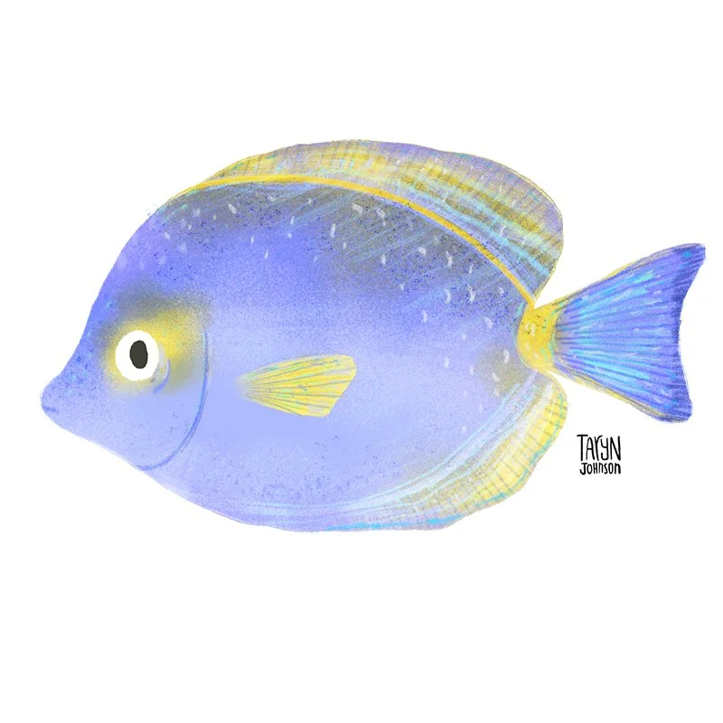 Fish036_tarynjohnson.jpg