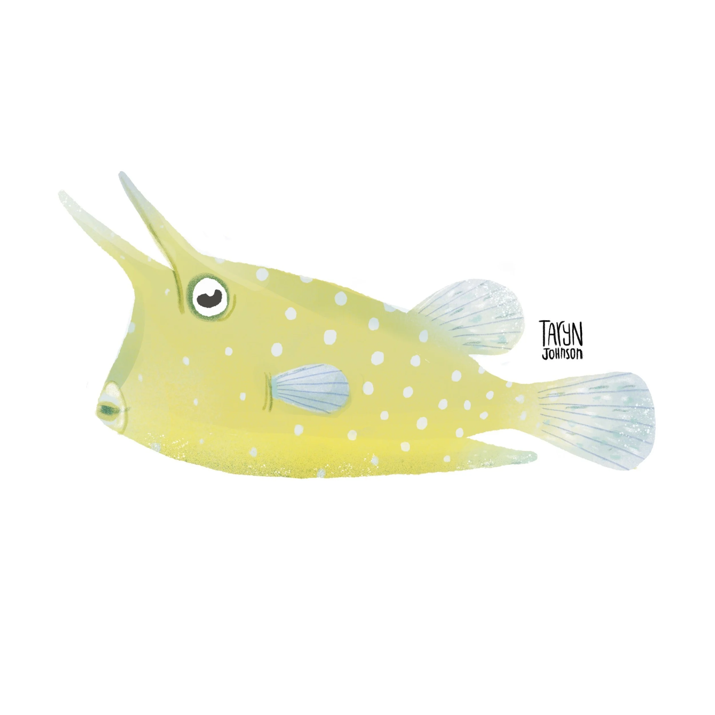 Fish082_tarynjohnson.jpg
