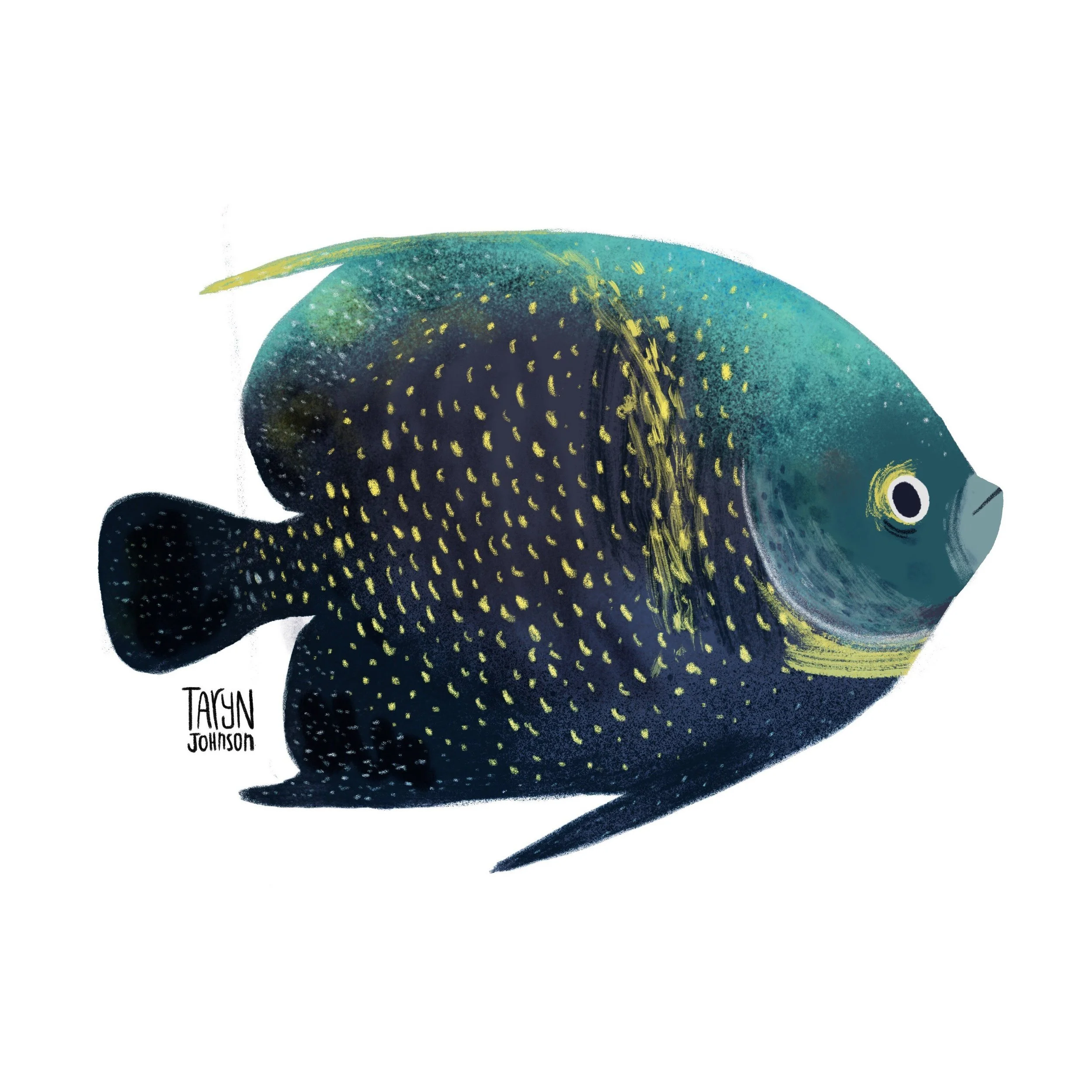 Fish061_tarynjohnson.jpg