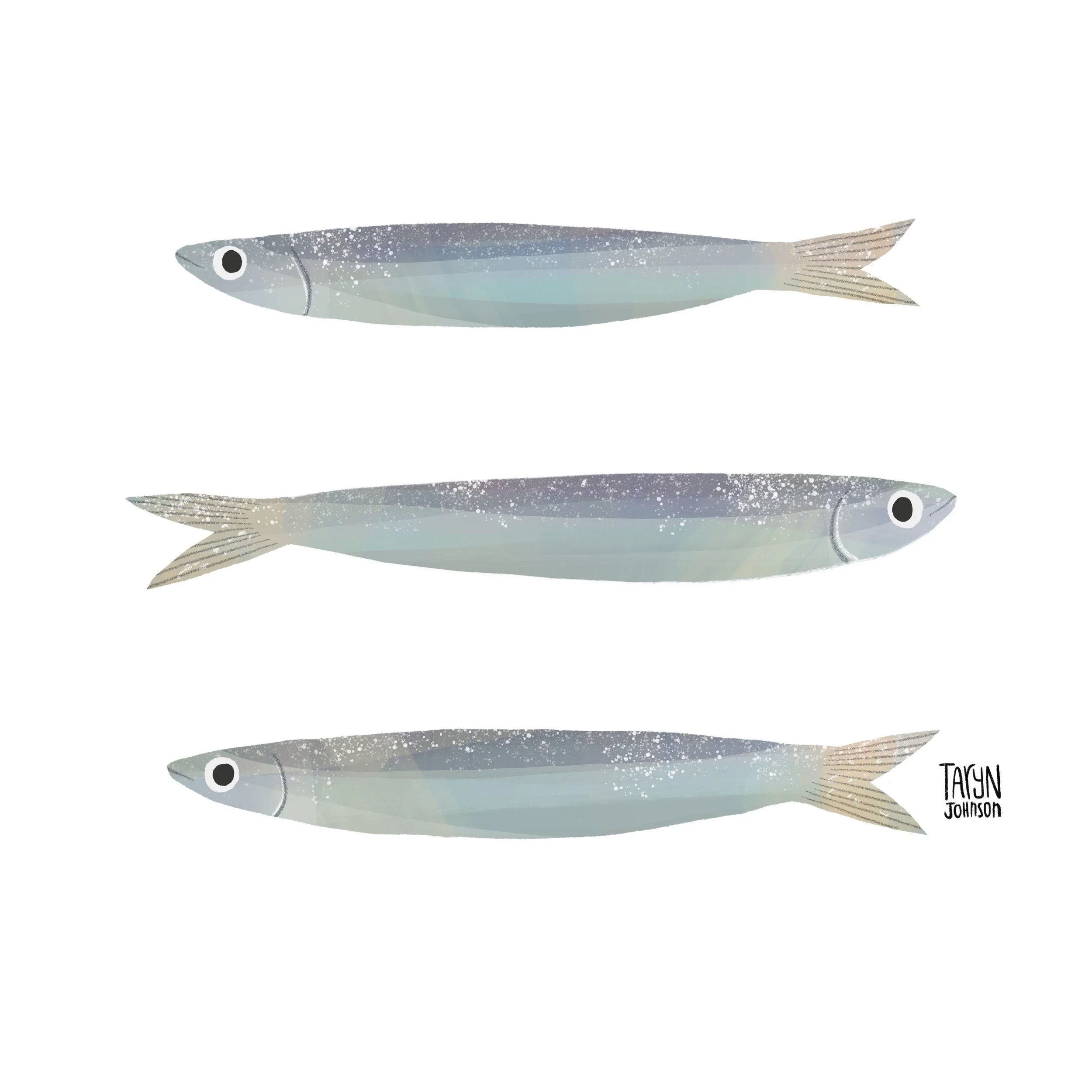Fish066_tarynjohnson.jpg
