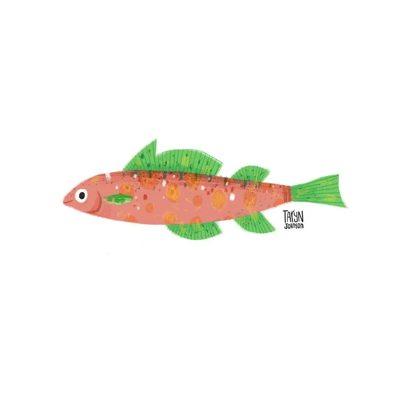 Fish043_tarynjohnson.jpg