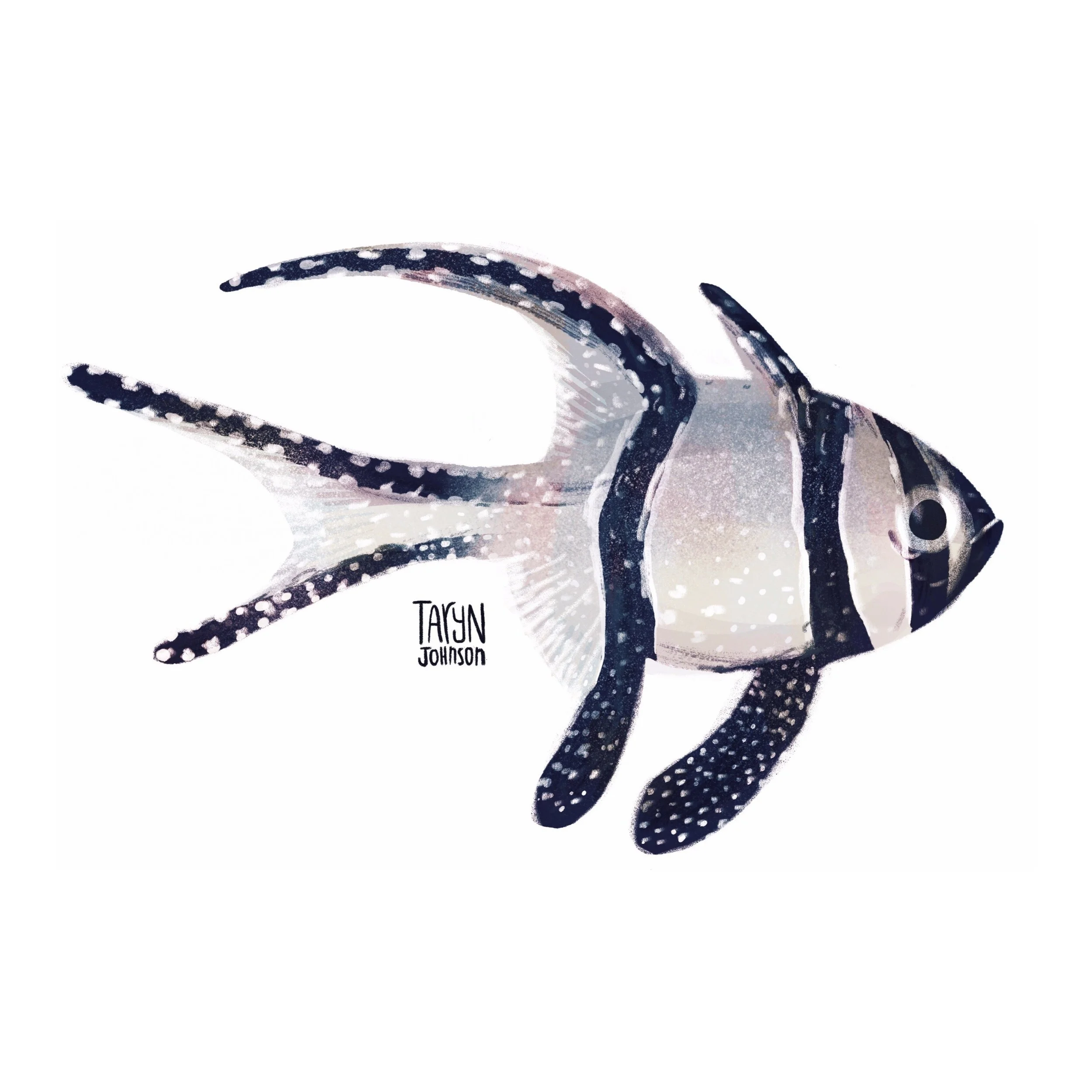 Fish088_tarynjohnson.jpg
