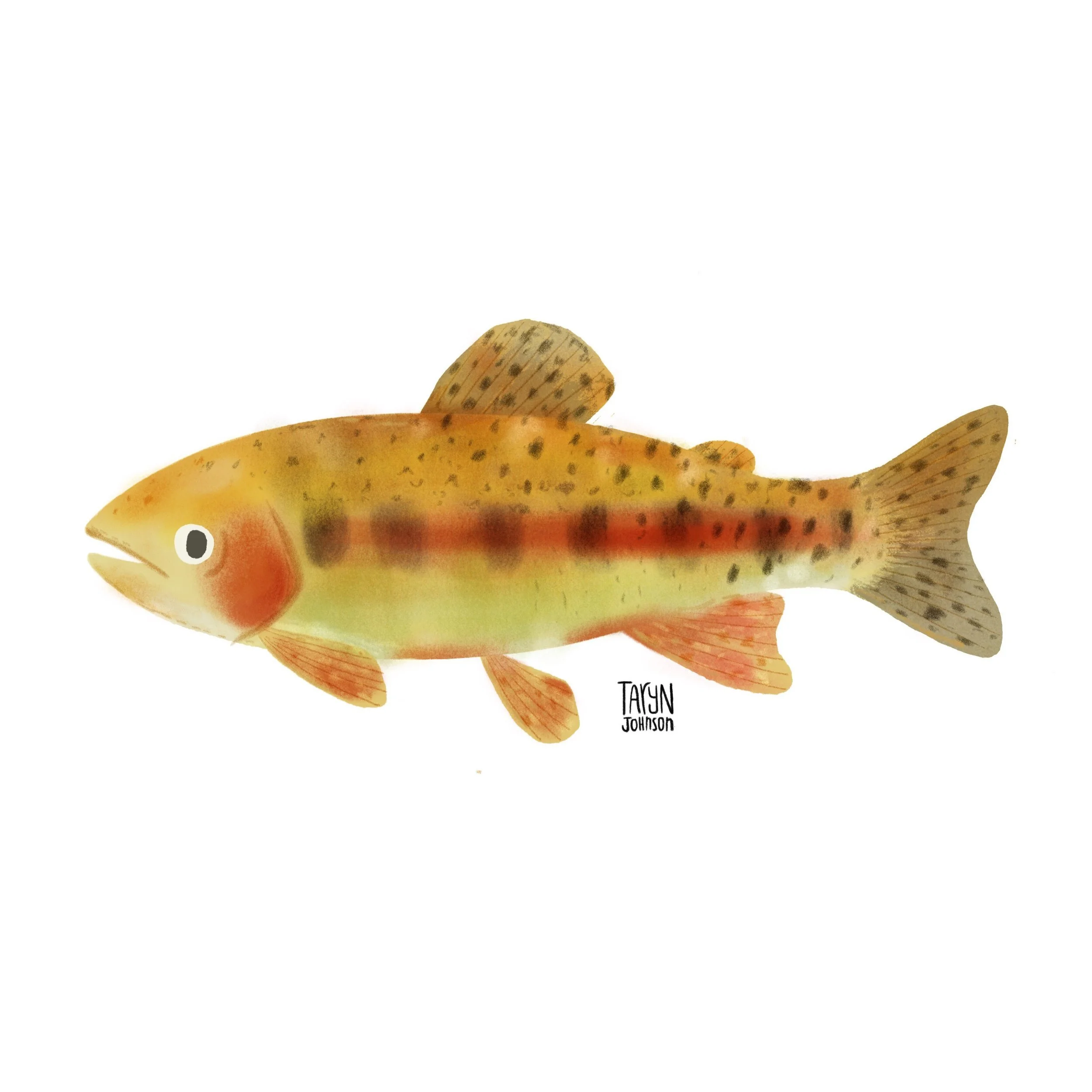 Fish058_tarynjohnson.jpg