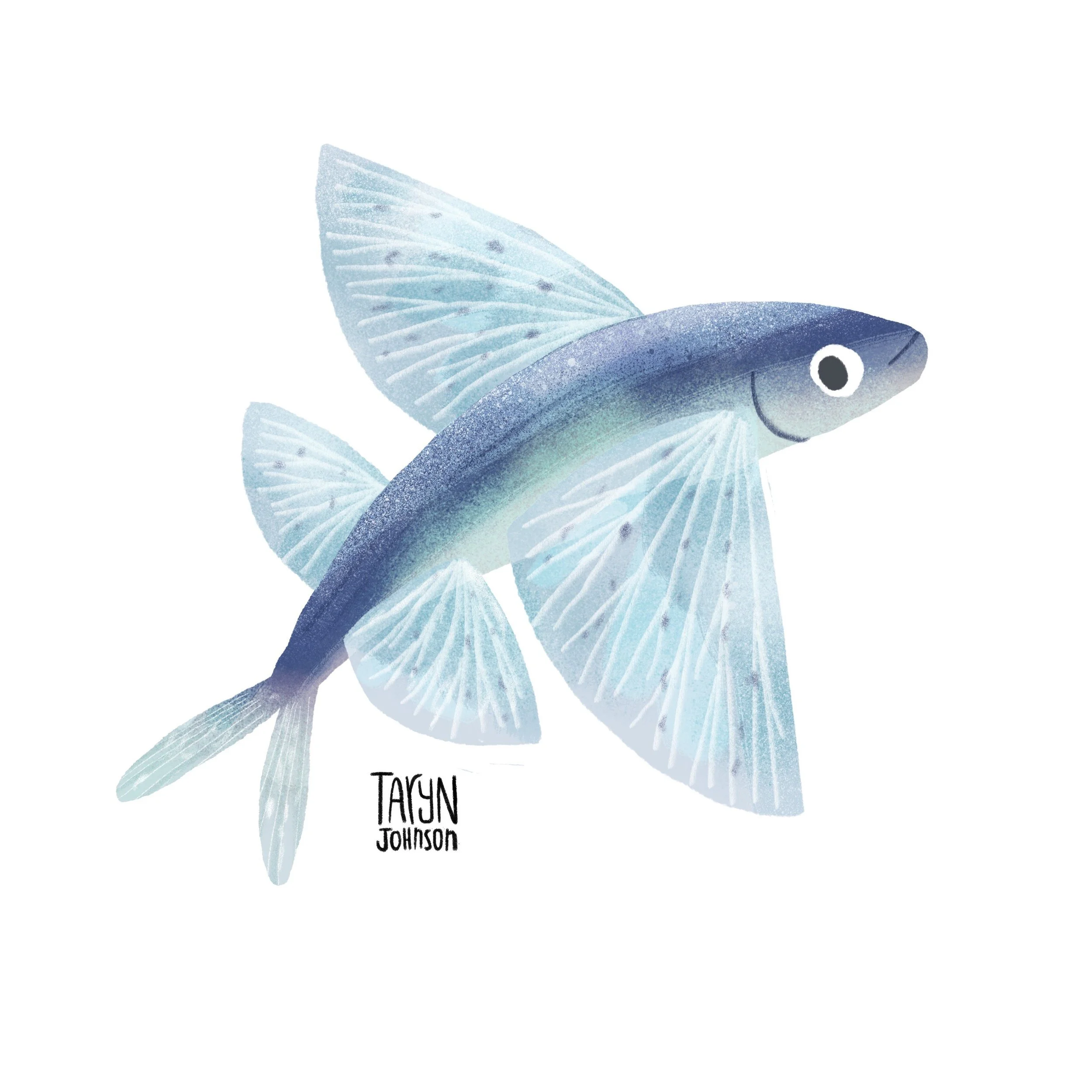 Fish075_tarynjohnson.jpg
