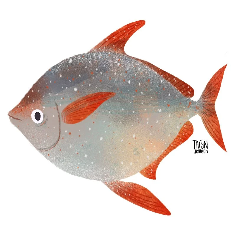 Fish042_tarynjohnson.jpg