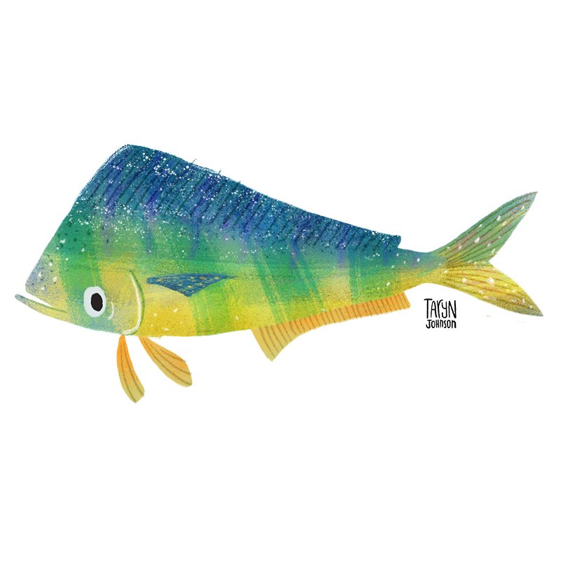 Fish026_tarynjohnson.jpg