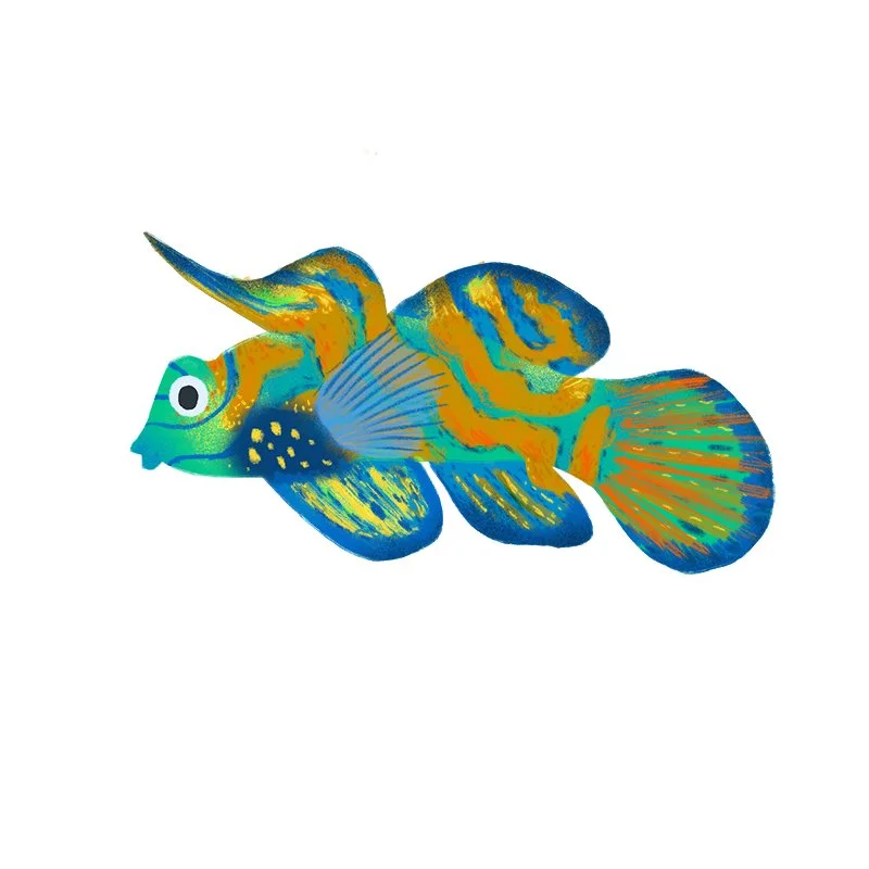 Fish044b_tarynjohnson.jpg