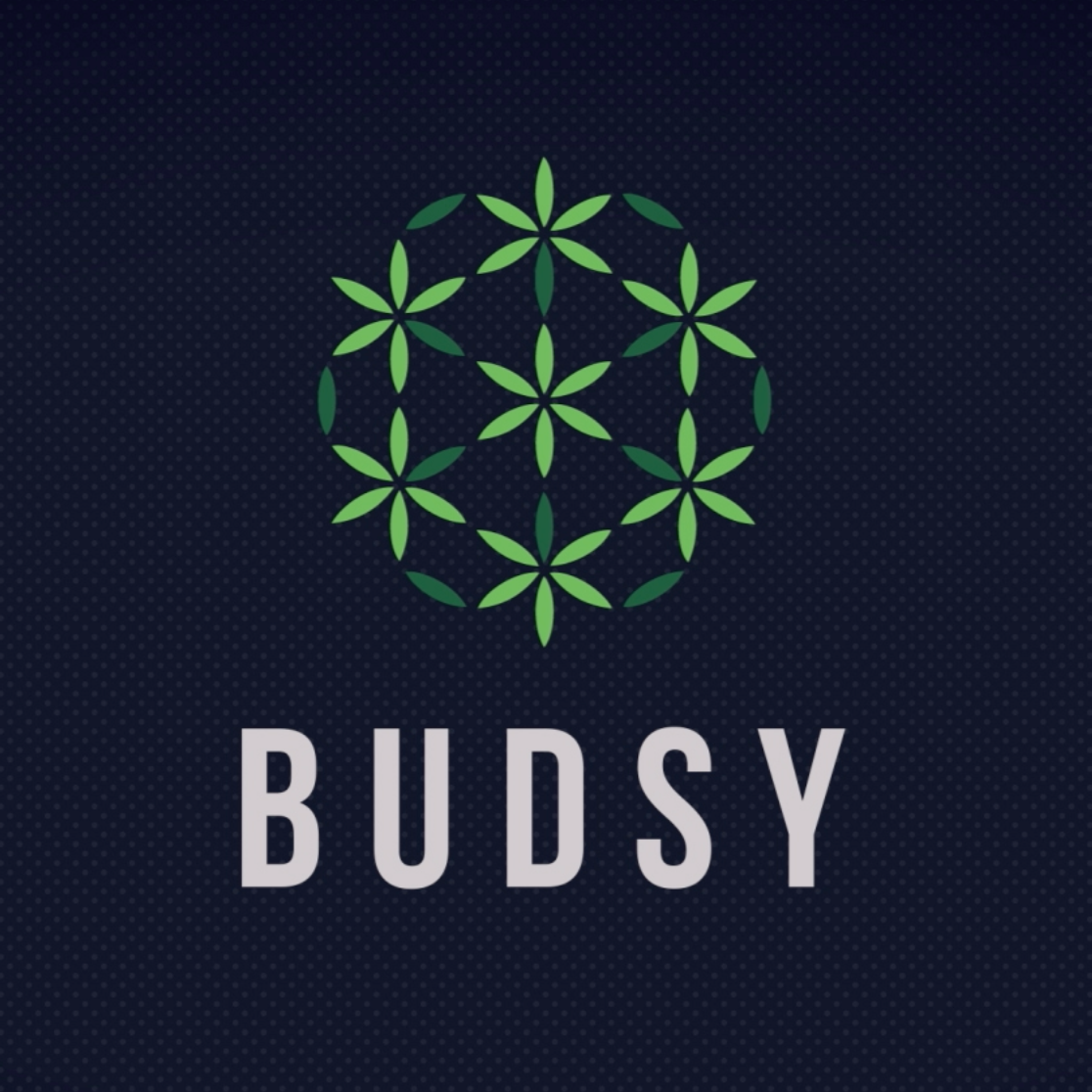 Budsy