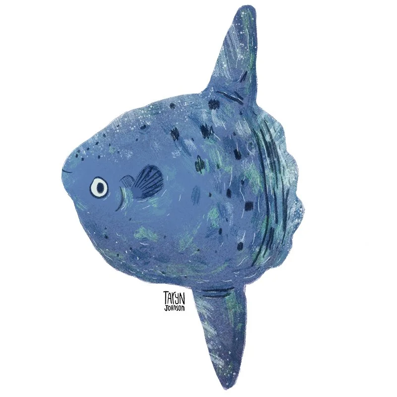 Fish029_tarynjohnson.jpg