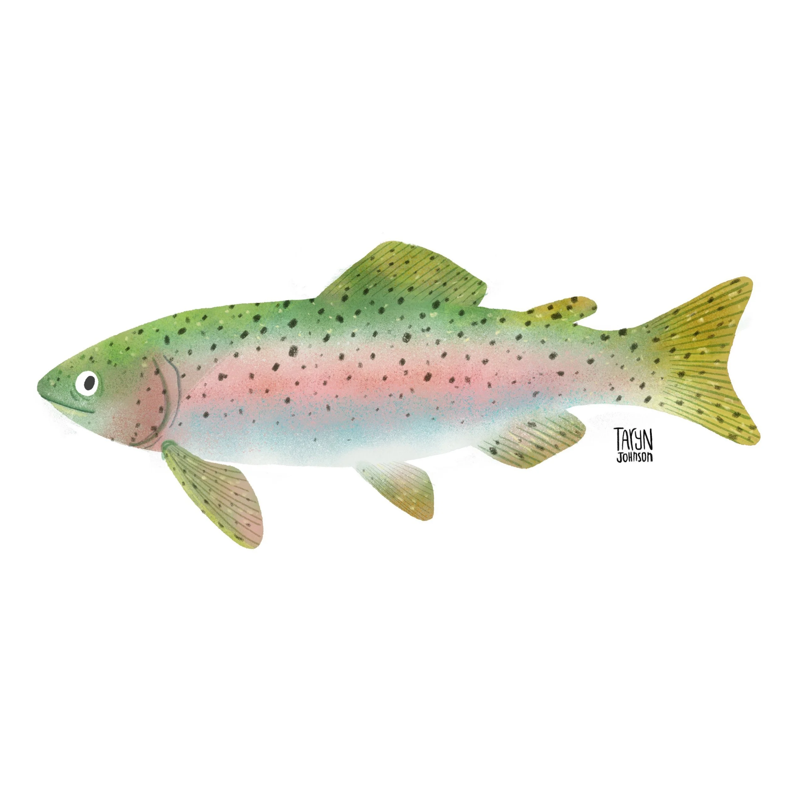Fish091_tarynjohnson.jpg