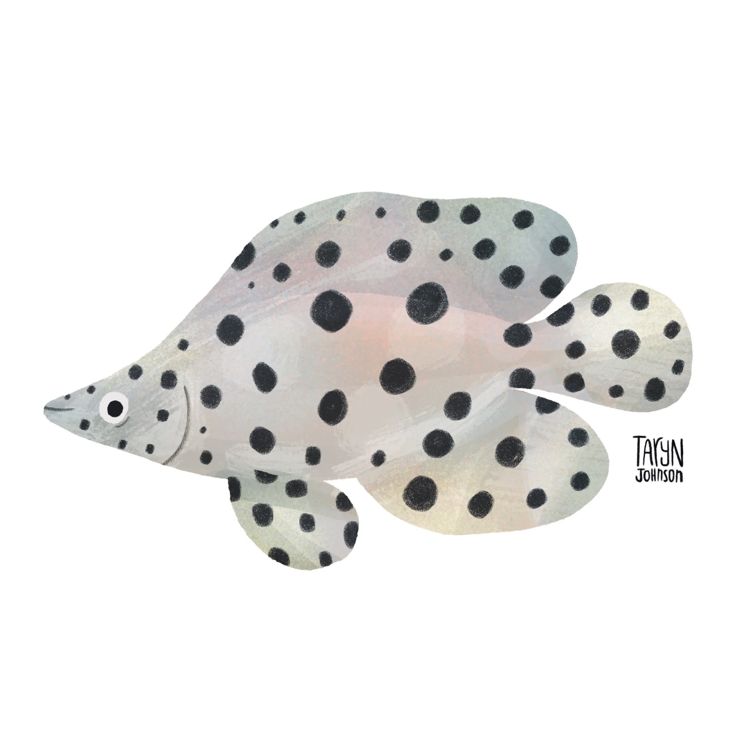 Fish089_tarynjohnson.jpg