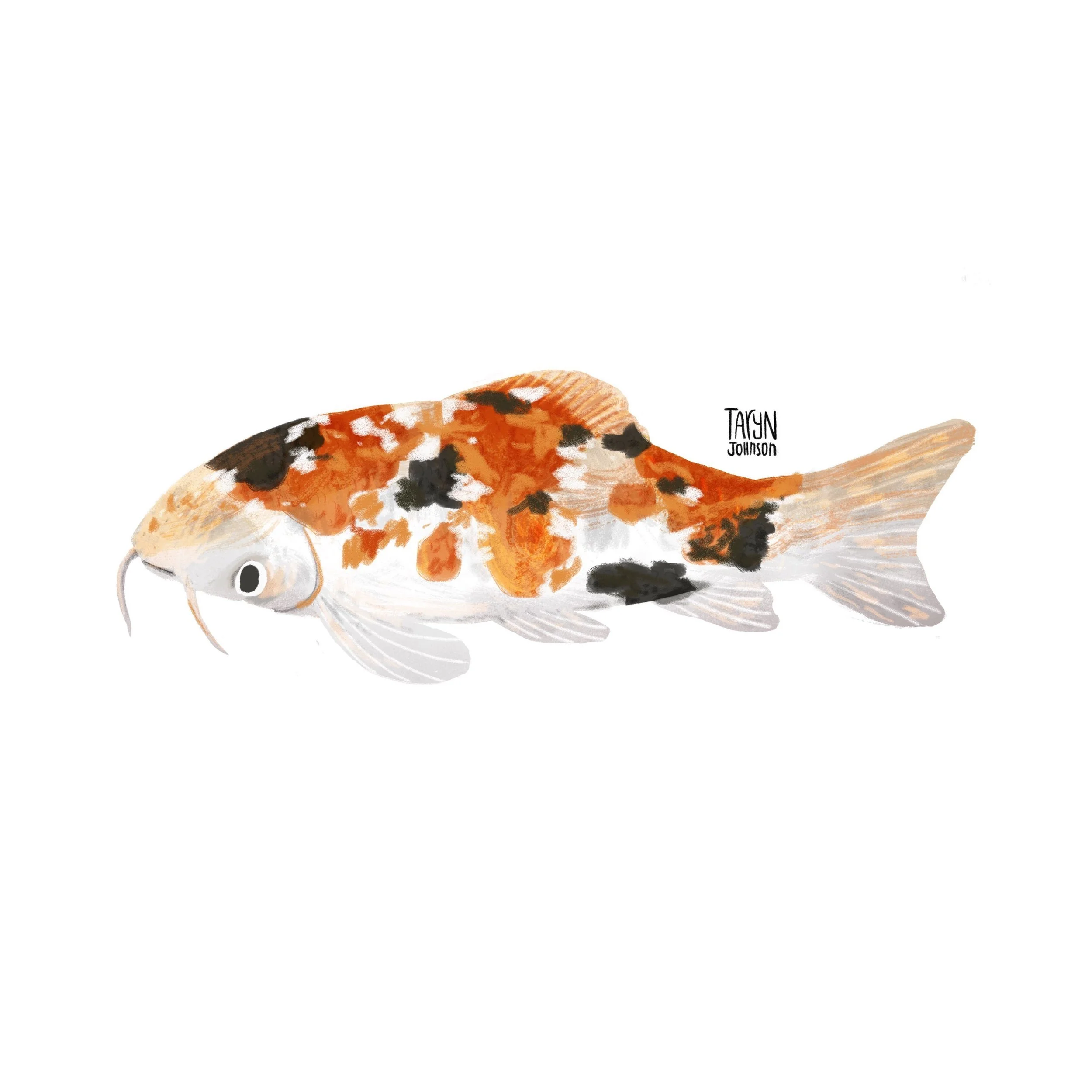 Fish057_tarynjohnson.jpg