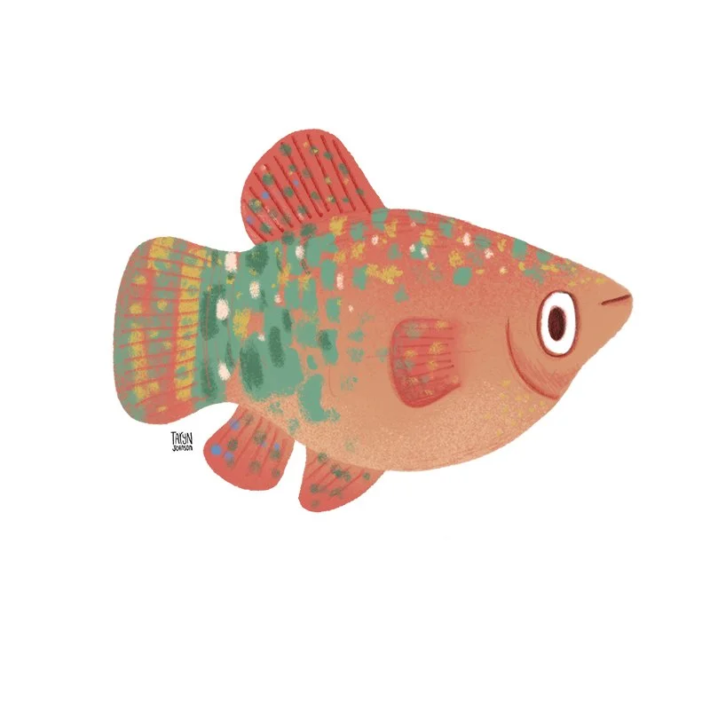 Fish006_tarynjohnson.jpg