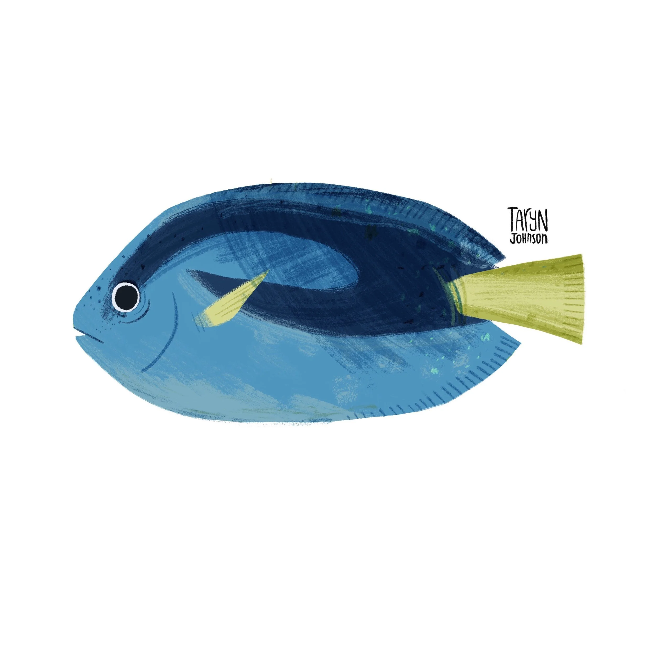 Fish055_tarynjohnson.jpg