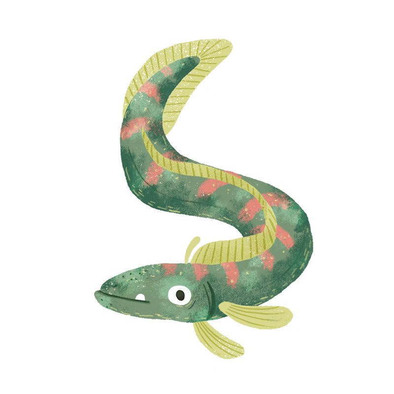 Fish013_tarynjohnson.jpg