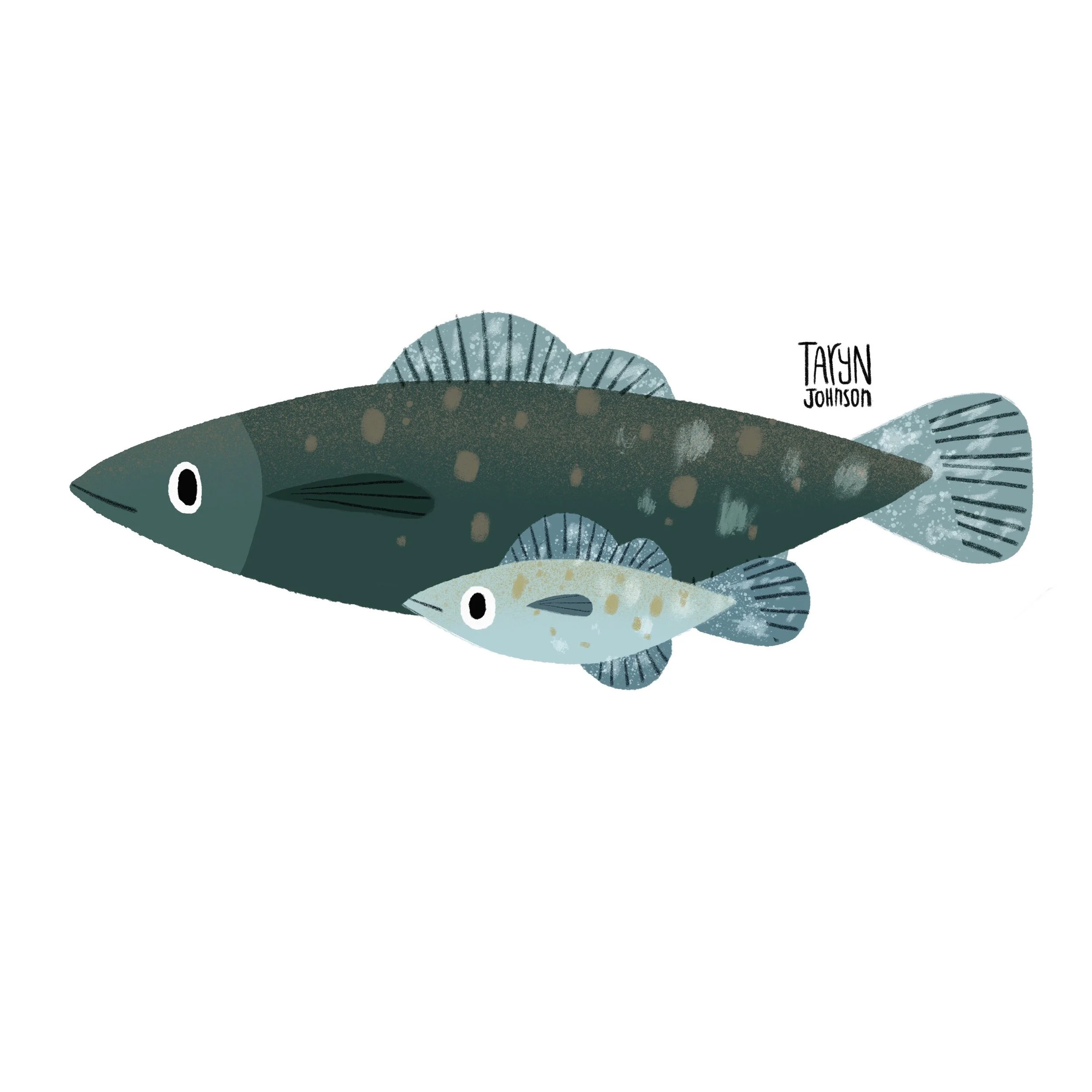 Fish064_tarynjohnson.jpg