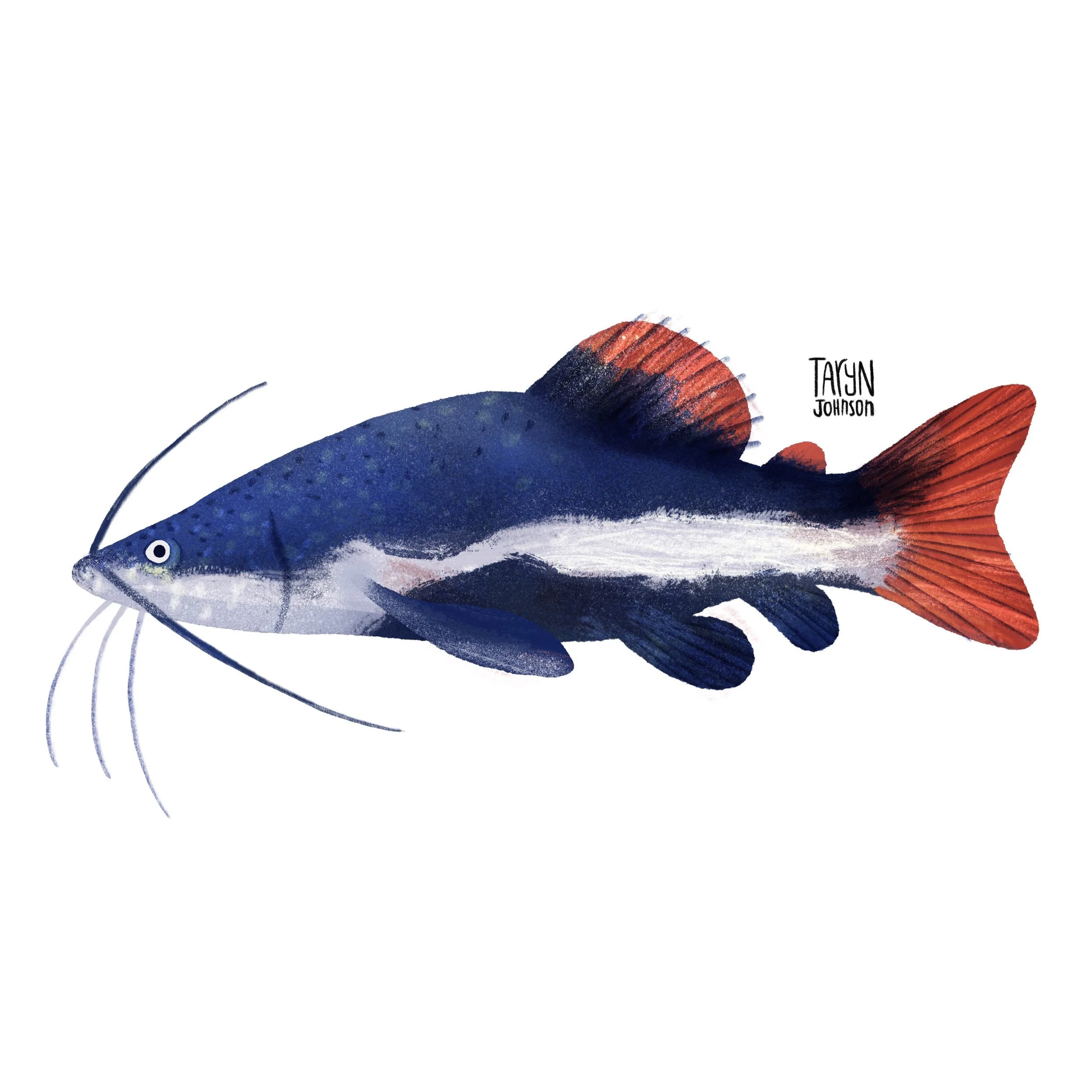 Fish096_tarynjohnson.jpg