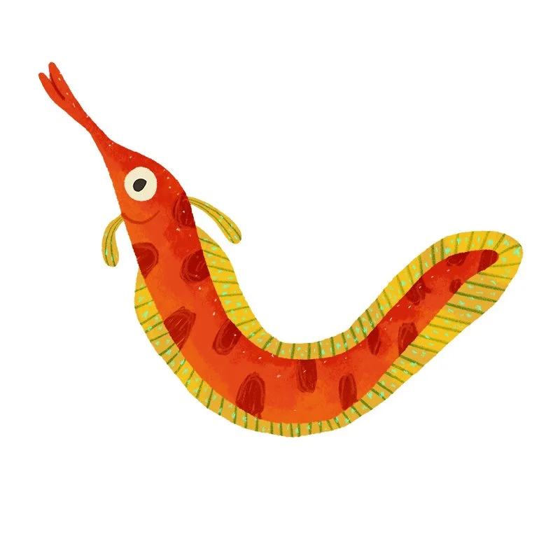 Fish016_tarynjohnson.jpg