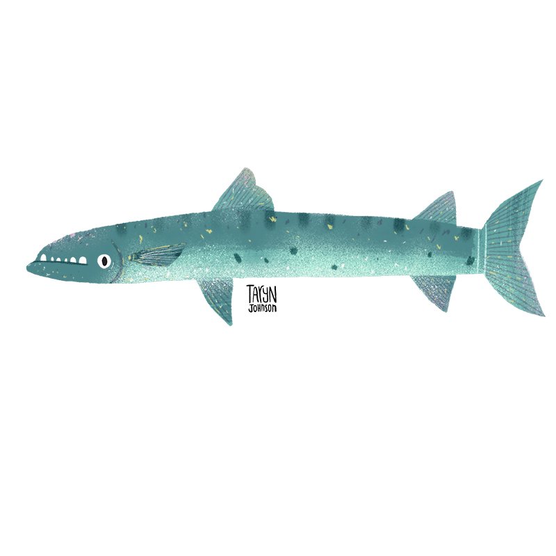Fish047_tarynjohnson.jpg
