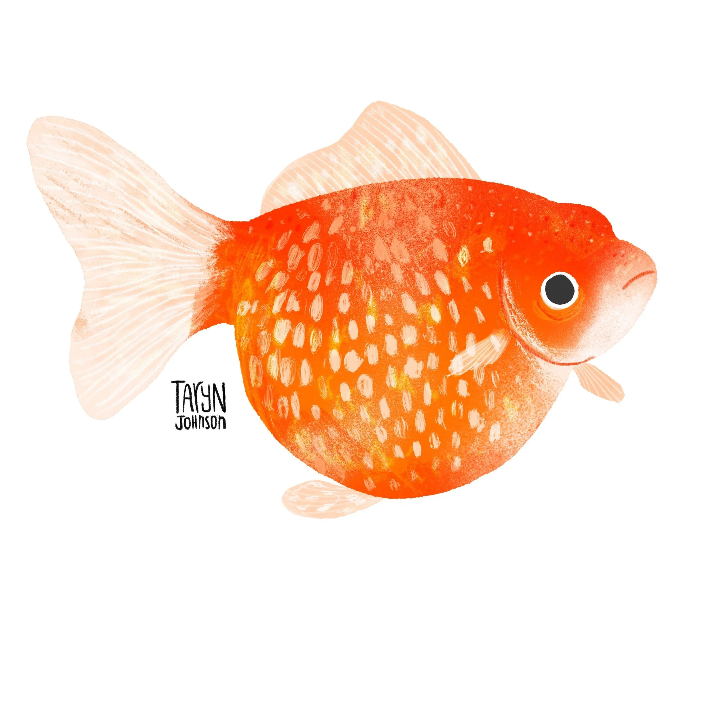 Fish062_tarynjohnson.jpg