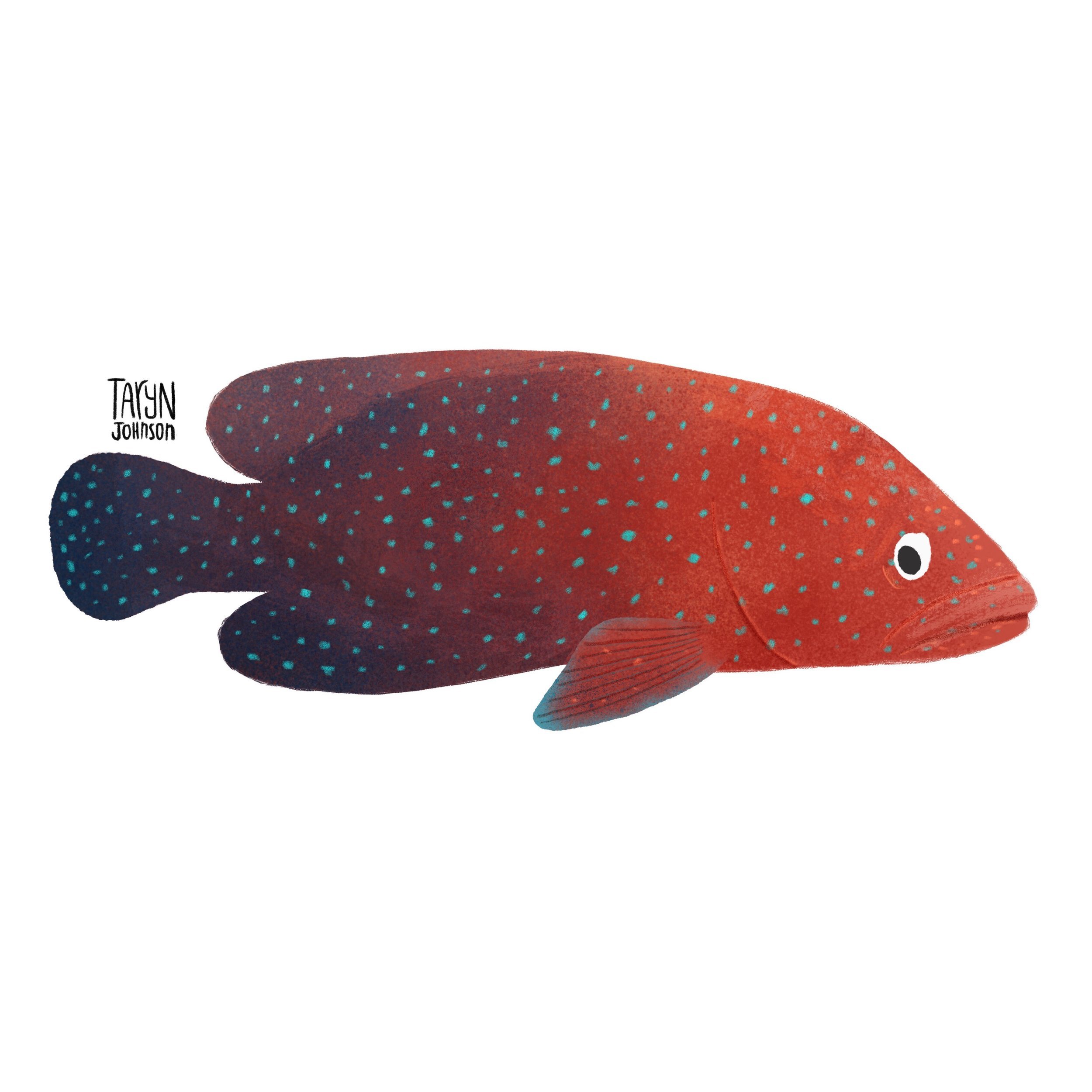 Fish068_tarynjohnson.jpg