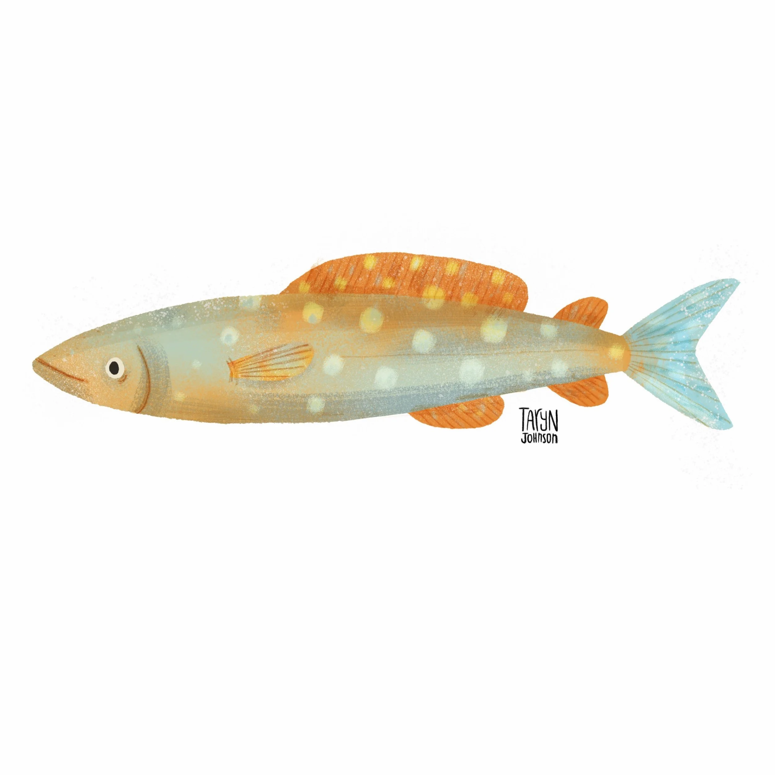 Fish085_tarynjohnson.jpg