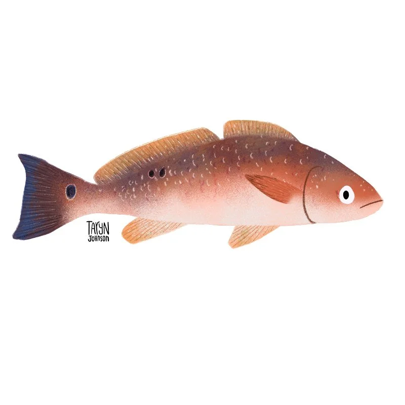 Fish041_tarynjohnson.jpg