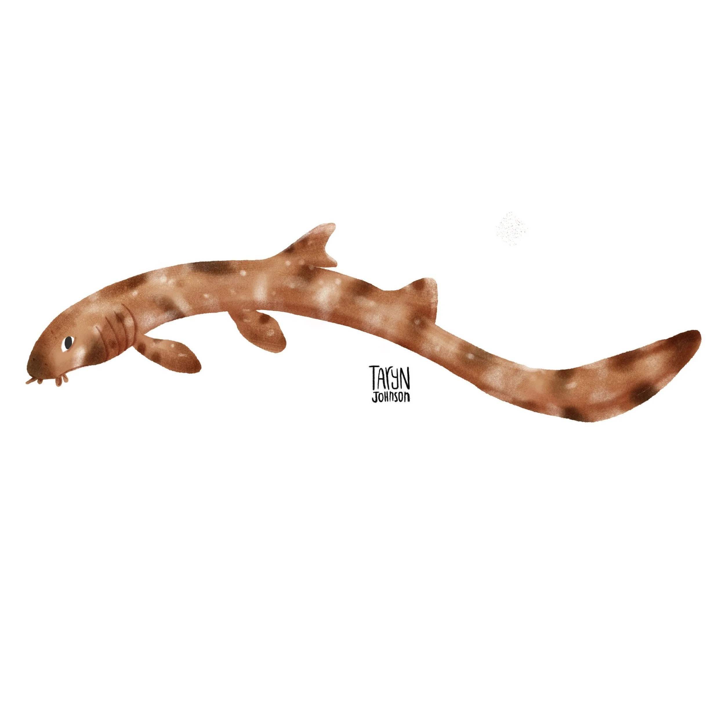 Fish090_tarynjohnson.jpg