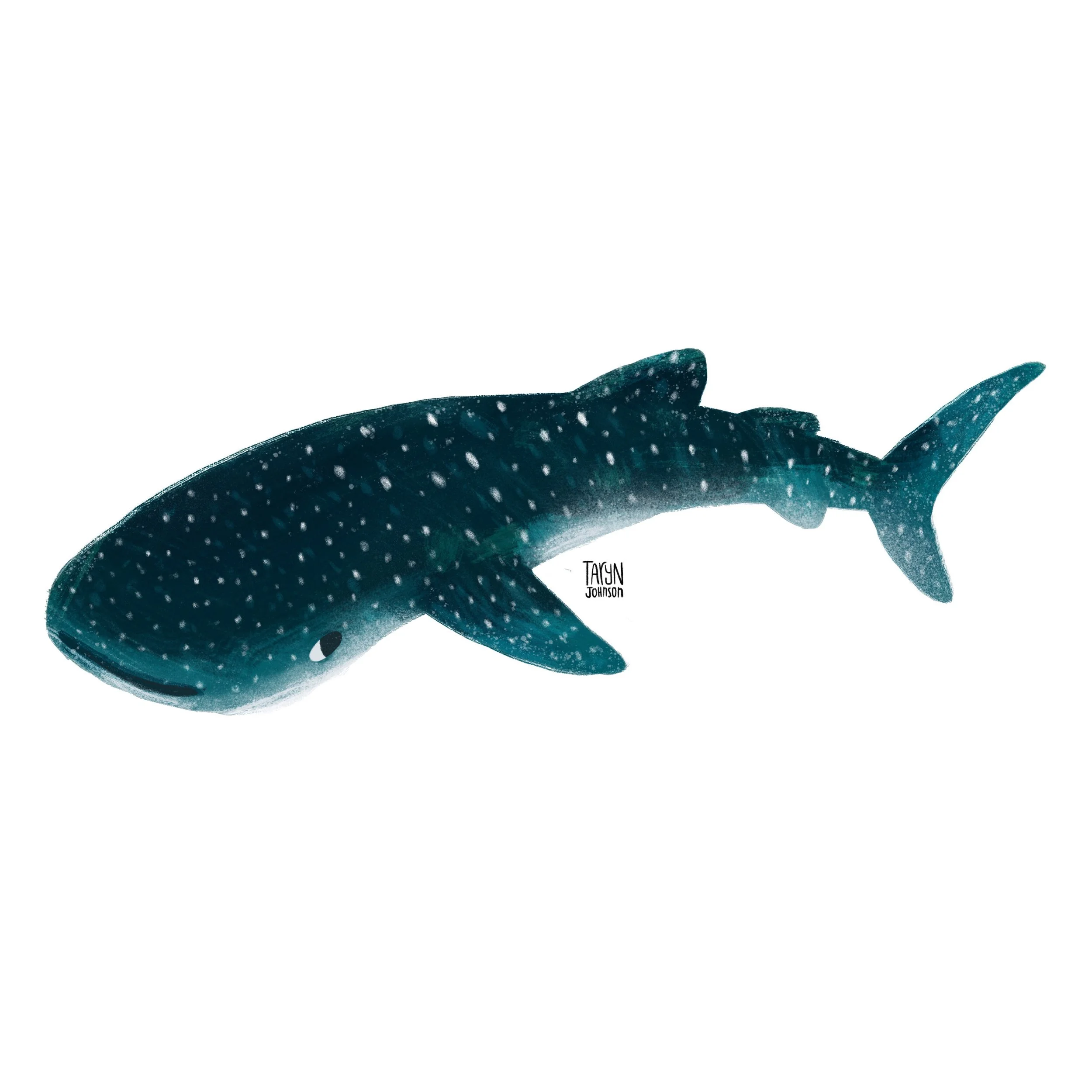 Fish022_tarynjohnson.JPG