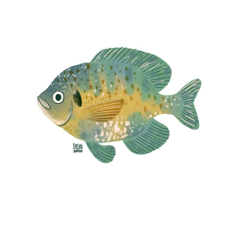 Fish002_tarynjohnson.jpg