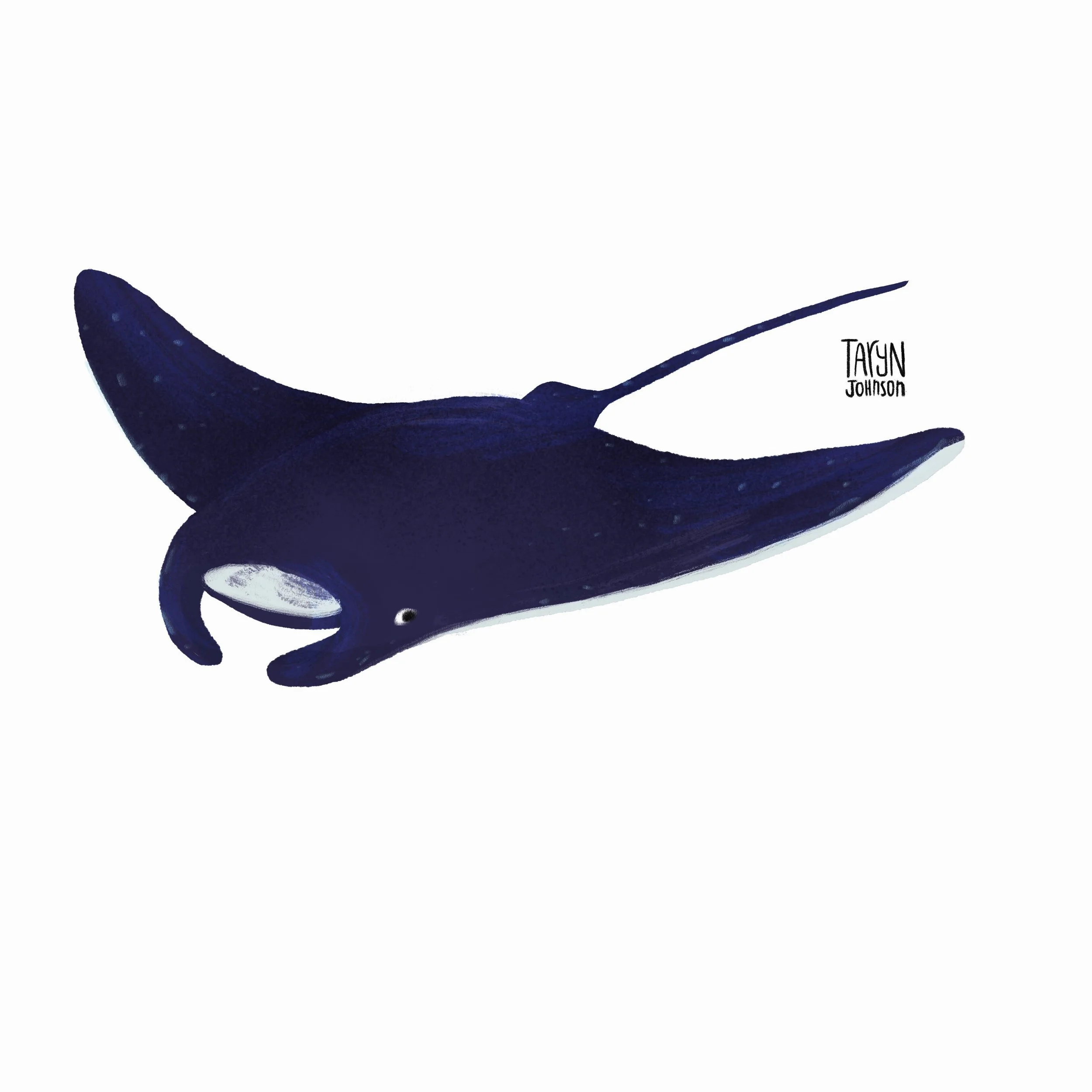 Fish087_tarynjohnson.jpg
