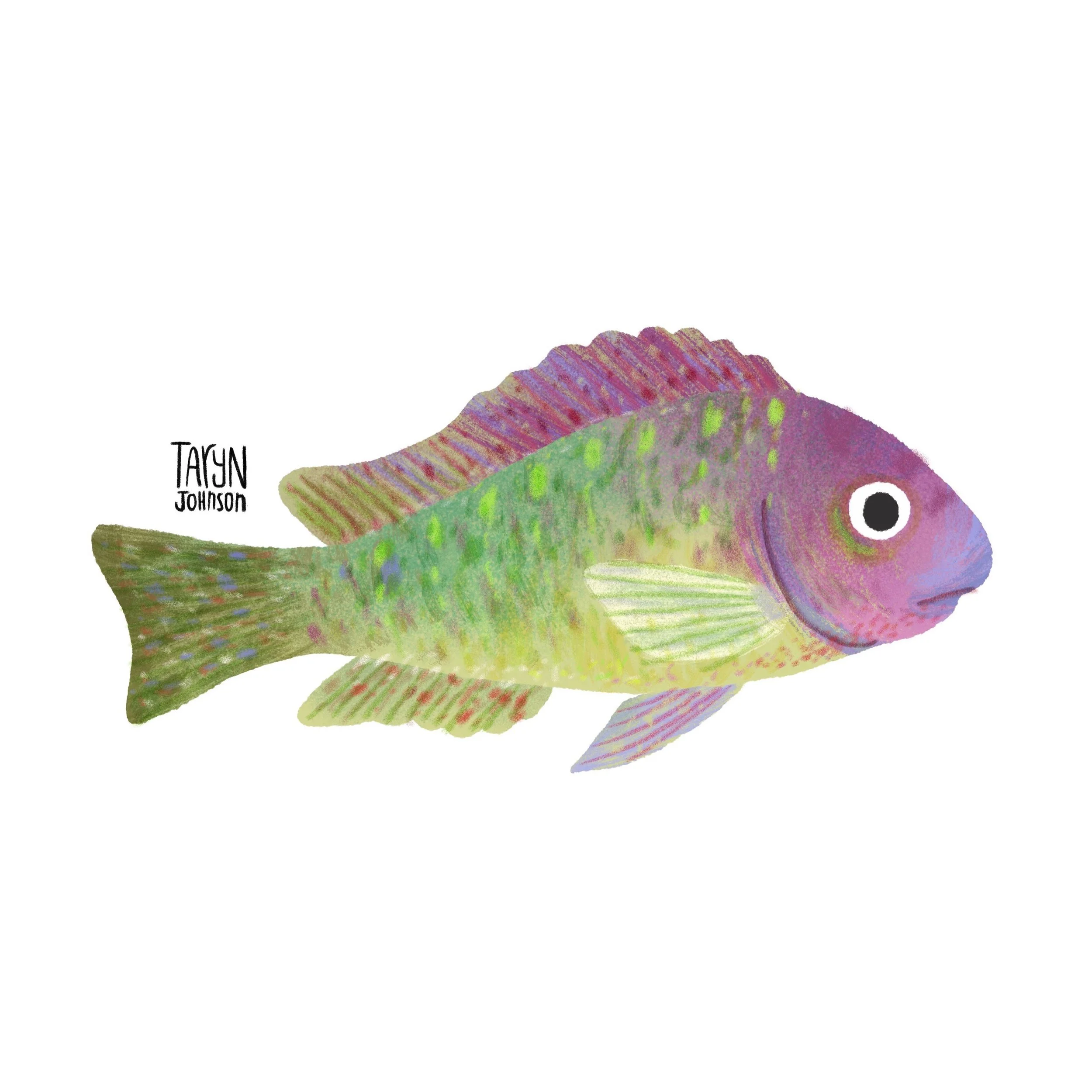 Fish069_tarynjohnson.jpg