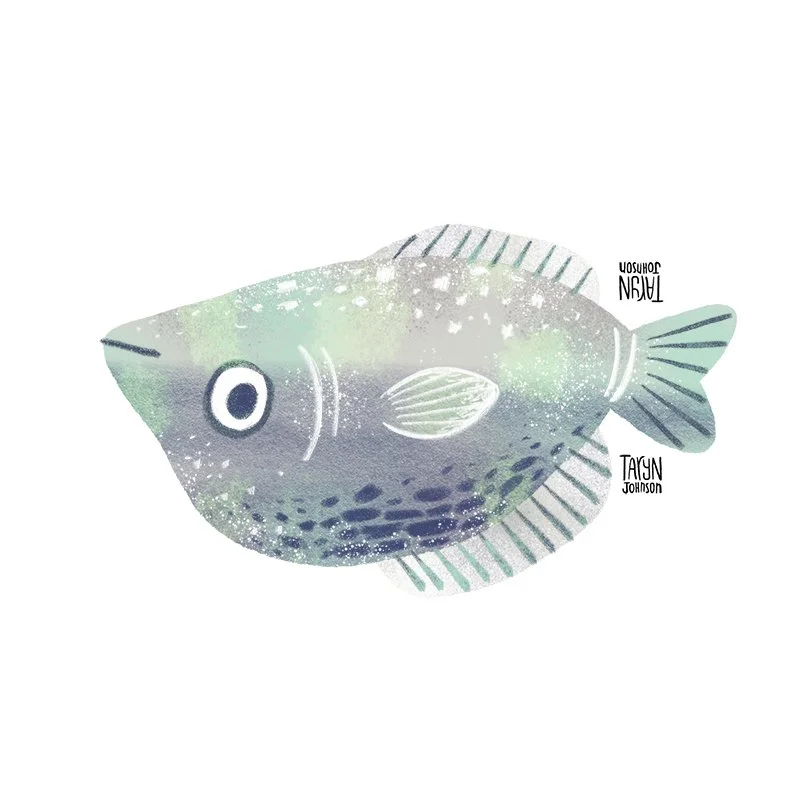 Fish012_tarynjohnson.jpg