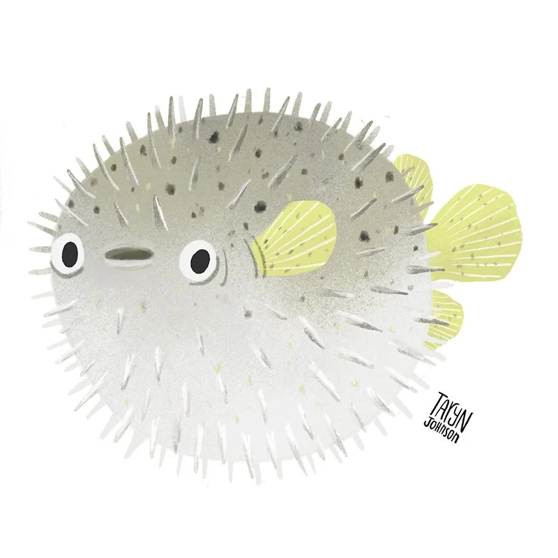 Fish046b_tarynjohnson.jpg