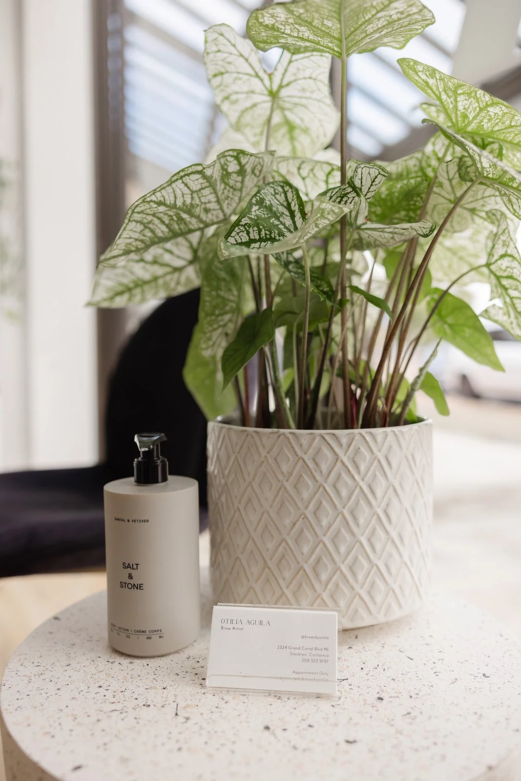 A potted plant with green and white patterned leaves on a white speckled table, with a bottle of lotion and a small business card in front of it. The background shows a window with blinds.
