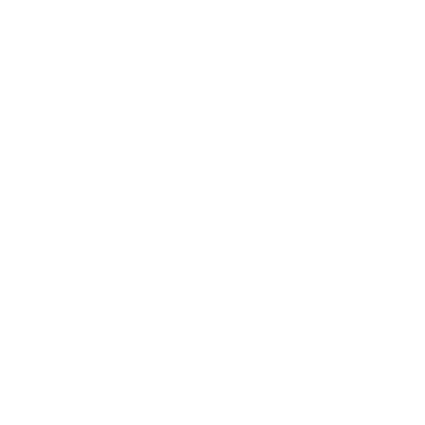 Vibra Logo.png
