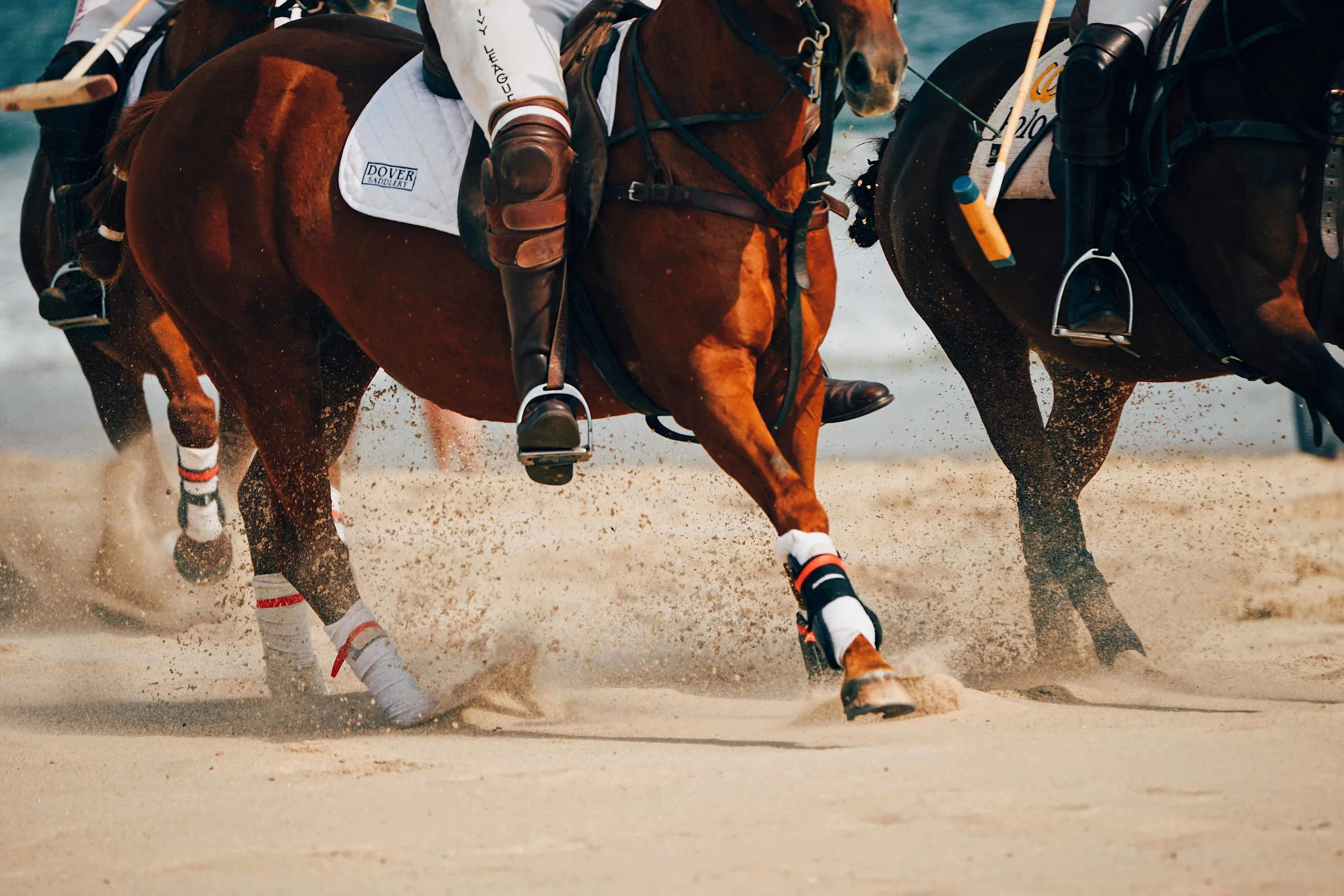 thundering hooves small.jpg