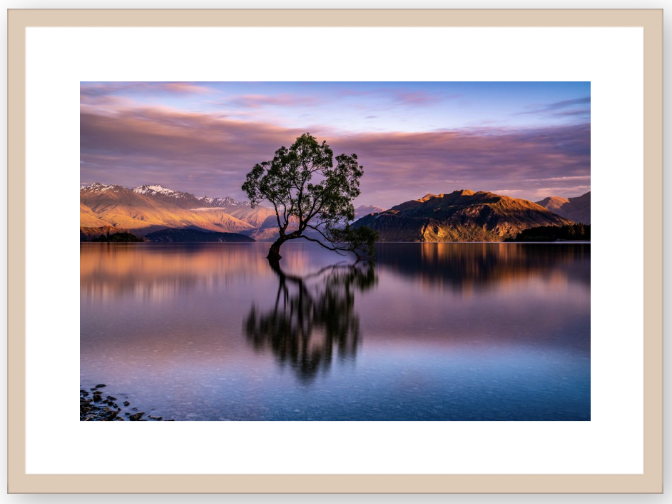 Screen+Shot+2019-07-30+at+6.19.22+PM.png